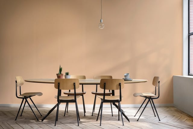 Dining Room interior inspiration image