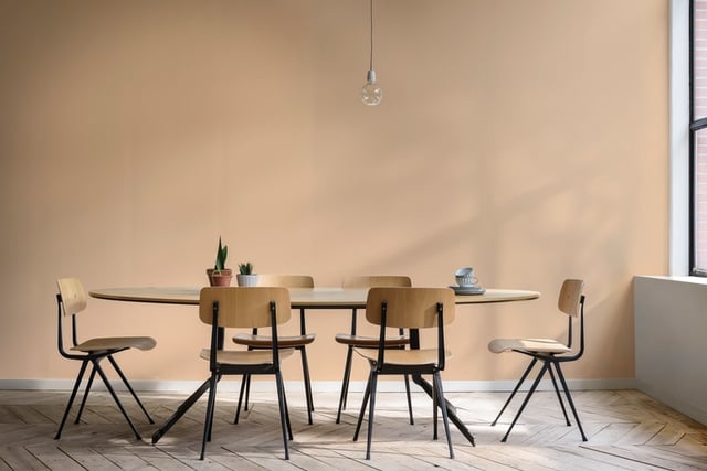 Dining Room interior inspiration image