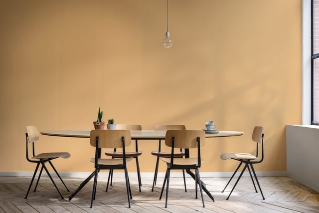 Dining Room interior inspiration image