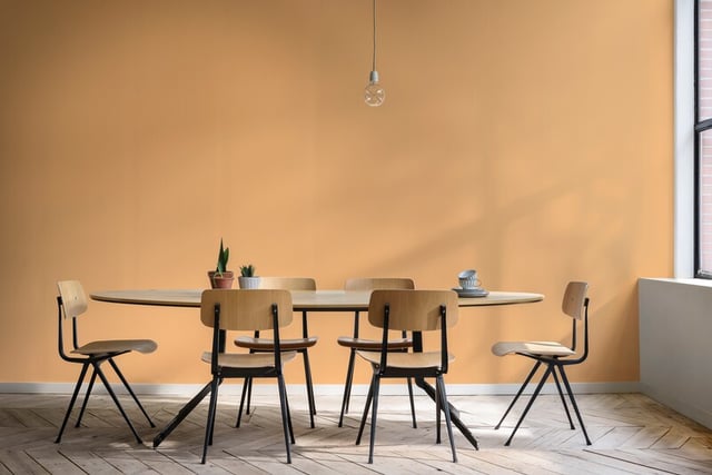 Dining Room interior inspiration image