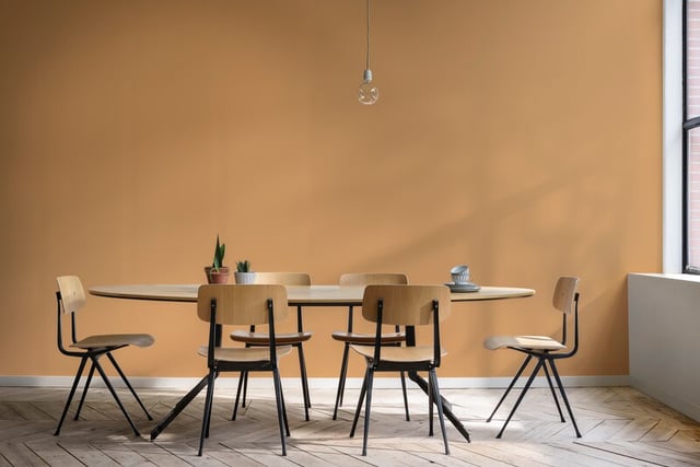 Dining Room interior inspiration image