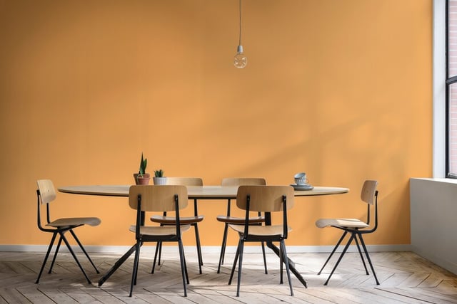 Dining Room interior inspiration image