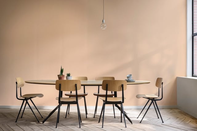 Dining Room interior inspiration image