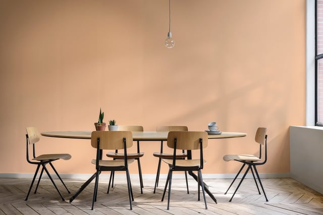 Dining Room interior inspiration image